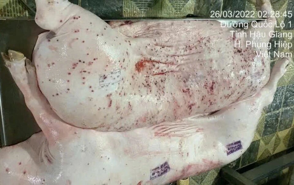 bo-cong-an-lam-ro-dong-co-phat-tan-hinh-anh-to-cp.-viet-nam-ban-heo-benh