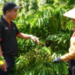 30-nam-nestle-viet-nam-qua-lang-kinh-cua-nhung-nguoi-dong-hanh