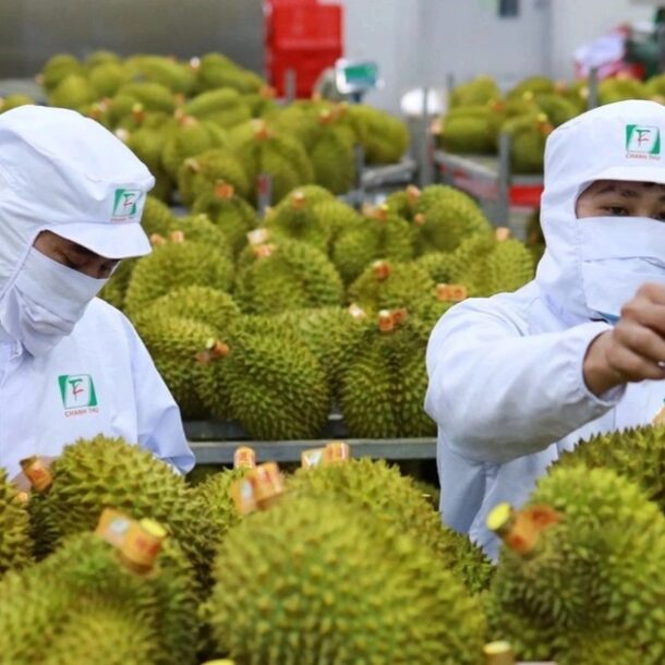 xuat-khau-rau-qua-phuc-hoi,-bat-ngo-tu-mot-loai-qua