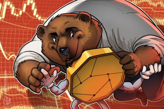 bitcoin's-four-year-market-cycle-isn't-dead-—-xapo-bank-ceo