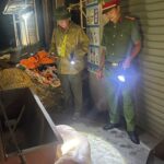 Người chăn nuôi giấu dịch đang khiến dịch tả heo châu Phi lan rộng