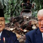 Trump says Indonesia 'reciprocal' tariff to be cut to 19% in trade deal