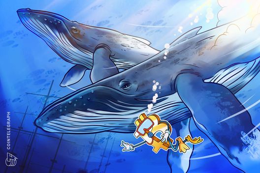 massive-og-bitcoin-whale-shifts-another-$4.7b-of-btc-to-new-wallet