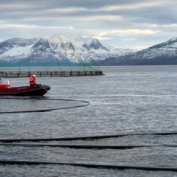 mitsubishi-corp.-to-buy-norwegian-salmon-aquafarm-for-$1bn