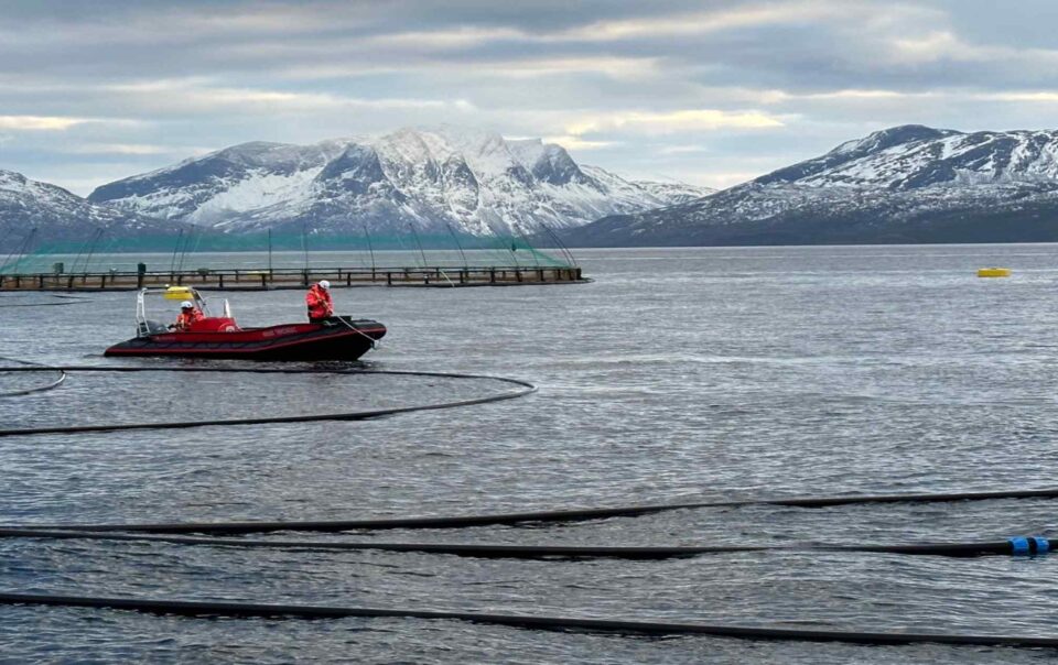 mitsubishi-corp.-to-buy-norwegian-salmon-aquafarm-for-$1bn