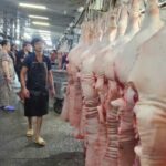Giá heo liên tục giảm do ảnh hưởng dịch bệnh?