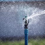 Một doanh nghiệp nước địa phương rời UPCoM giữa lúc kinh doanh lập đỉnh, cổ tức đều đặn