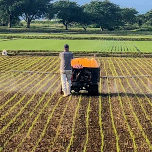 japan’s-matsuya-foods-aims-to-grow-water-saving-rice-for-beef-bowls