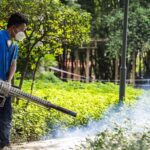 china-fight-with-mosquito-borne-virus-stirs-zero-covid-flashbacks