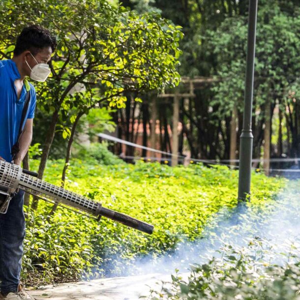 china-fight-with-mosquito-borne-virus-stirs-zero-covid-flashbacks