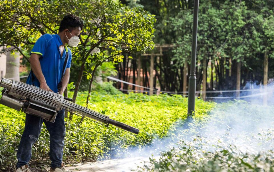 china-fight-with-mosquito-borne-virus-stirs-zero-covid-flashbacks