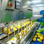 AIG dẫn đầu xu hướng chế biến sâu và chuỗi liên kết bền vững cho nông sản Việt