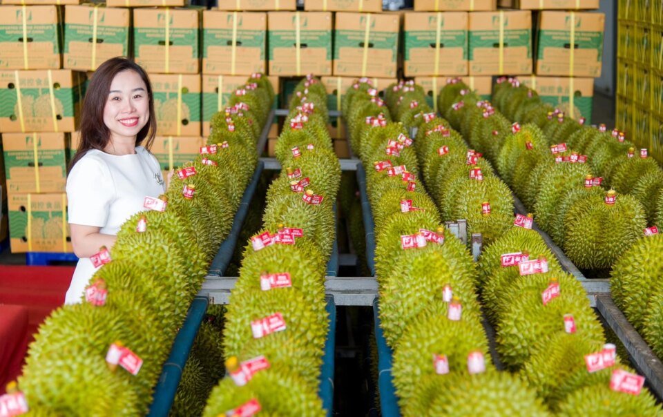 sau-rieng-viet-nam-xuat-khau-se-co-tieu-chuan-quoc-gia-nghiem-khac