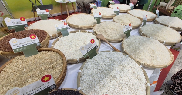 vi-sao-viet-nam-chi-1-ti-usd-nhap-khau-gao-chi-trong-7-thang?