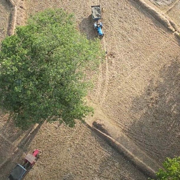 as-india’s-carbon-market-grows,-natural-offsets-wait-on-sidelines