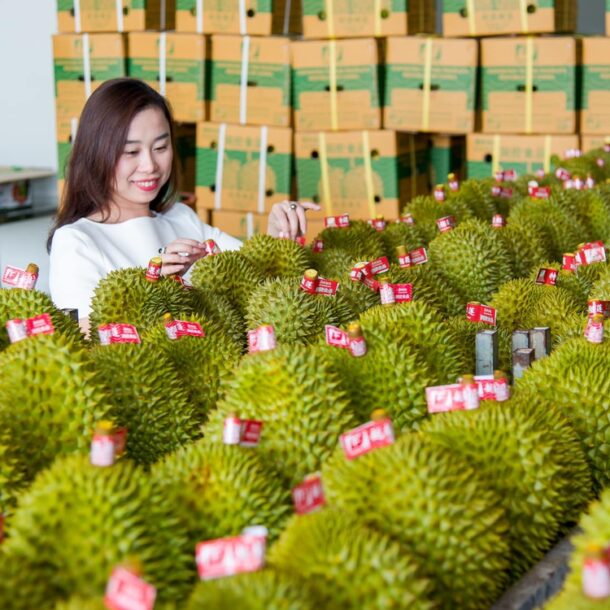 dua-nong-nghiep-viet-nam-vao-top-15-the-gioi-nam-2030