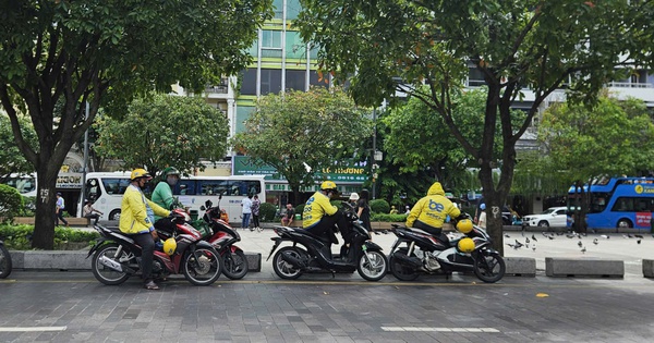 de-xuat-tp-hcm-tro-gia-cho-nguoi-dan-doi-xe-xang-sang-xe-dien