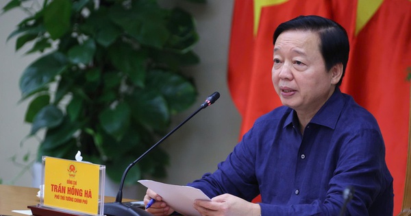 pho-thu-tuong-yeu-cau-kiem-tra-lo-mo,-xem-xet-xu-ly-hinh-su-ban-va-tha-heo-benh
