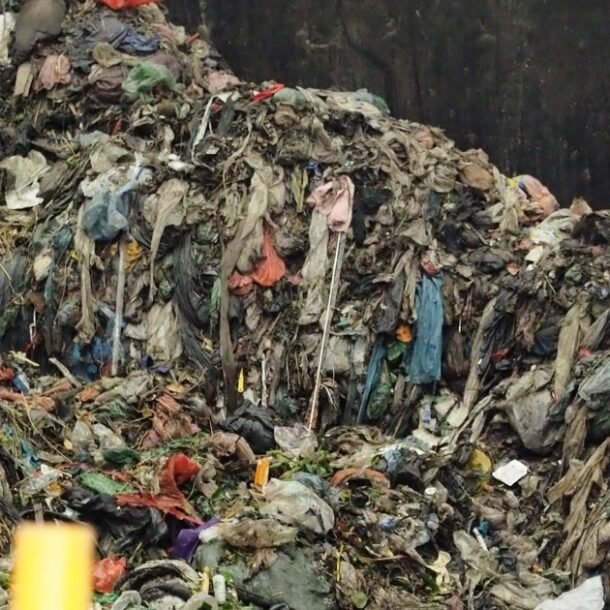 bo-chinh-tri:-khuyen-khich-phat-trien-dien-tu-rac-thai,-sinh-khoi,-khi-du