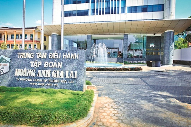 con-trai-bau-duc-nang-so-huu-tai-hoang-anh-gia-lai-len-gan-5%