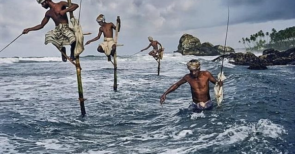 khoi-ngoai-“tranh-thu”-gom-gan-1.000-ty-dong-co-phieu-khi-vn-index-giam-sau,-dau-la-tam-diem?