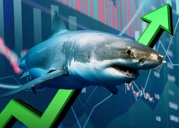 theo-dau-dong-tien-ca-map-08/09:-khoi-ngoai,-tu-doanh-cung-mua-rong-khi-thi-truong-lao-doc