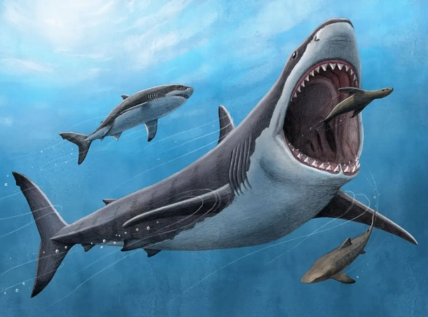 theo-dau-dong-tien-ca-map-09/09:-tu-doanh-rot-318-ty-vao-gex