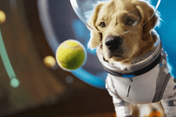 openai-ra-sora-2-va-mang-xa-hoi-giong-tiktok