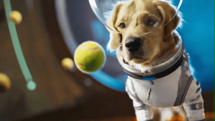 openai-ra-sora-2-va-mang-xa-hoi-giong-tiktok