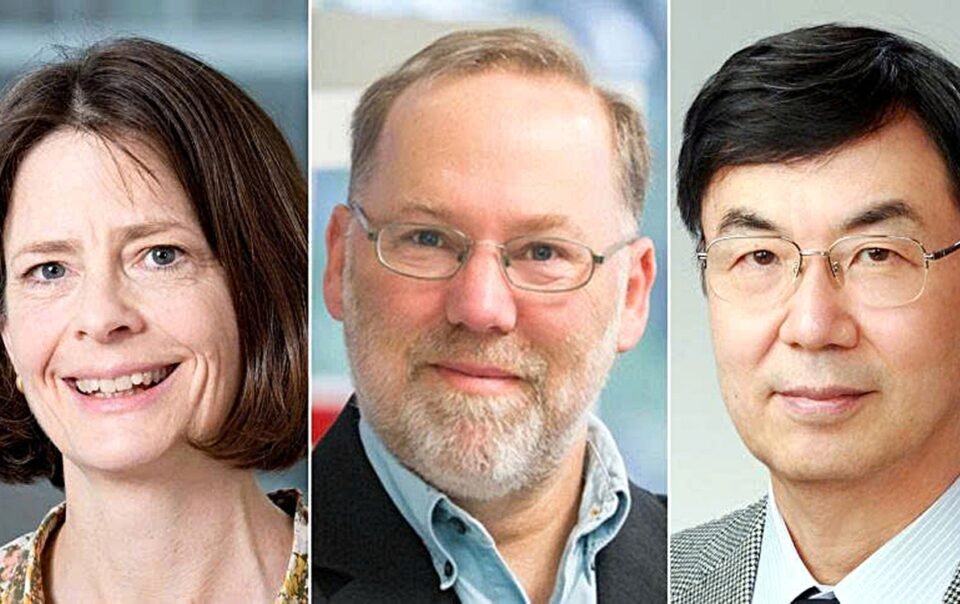 nobel-y-sinh-2025:-mo-ra-ky-nguyen-moi-cua-mien-dich-hoc