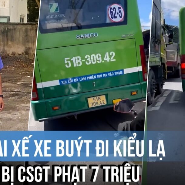tai-xe-xe-buyt-di-kieu-la-bi-csgt-phat-7-trieu