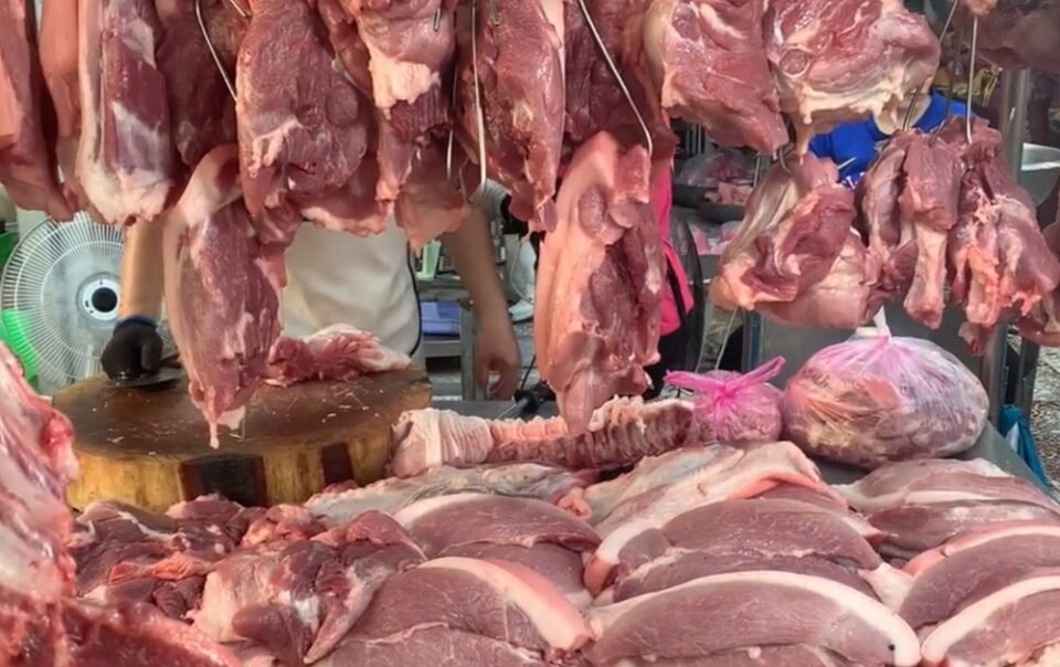 gia-heo-hoi-hom-nay-1010.2025:-khi-nao-moi-ngung-tut-doc?