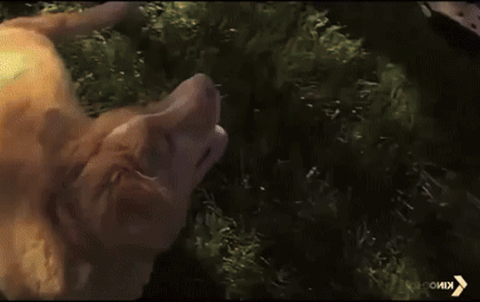 good-boy-khong-chi-la-phim-kinh-di-re-tien-nup-sau-chu-cho-de-thuong