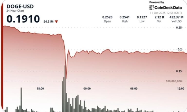 doge-suffers-50%-flash-crash-before-stabilizing-near-$0.19