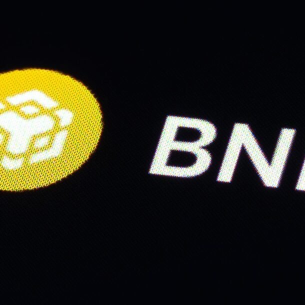 bnb’s-comeback-meal-—-trader-says-the-token-ate-the-dump-for-breakfast
