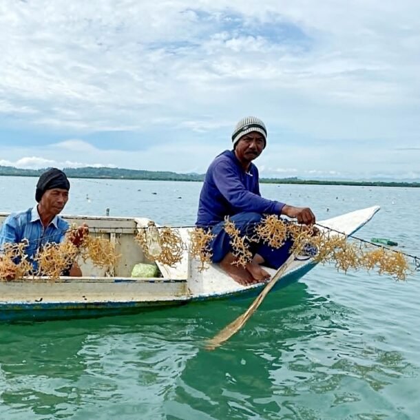 rong-bien-thanh-‘vang-xanh’-moi-cua-the-gioi