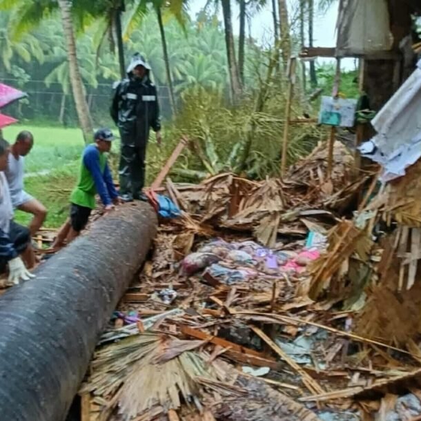 gia-dinh-5-nguoi-thiet-mang-vi-bao-fengshen