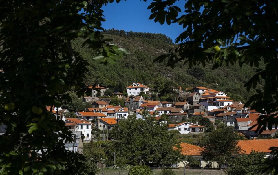 het-thoi-dau-tu-nha-dat,-‘thi-thuc-vang’-bo-dao-nha-hut-von-cho-van-hoa-va-nong-nghiep