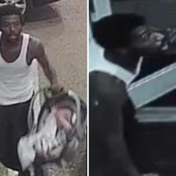 su-that-ve-cau-chuyen-‘ten-trom-xe-tot-bung’-o-my-tra-dua-be-so-sinh-roi-moi-bo-tron