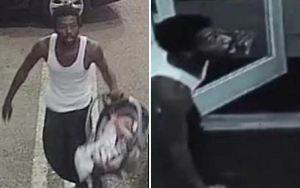 su-that-ve-cau-chuyen-‘ten-trom-xe-tot-bung’-o-my-tra-dua-be-so-sinh-roi-moi-bo-tron