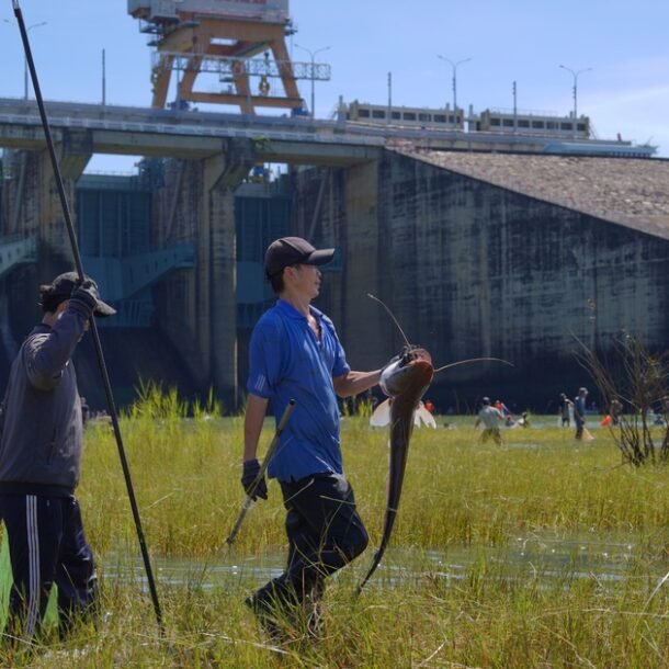 thuy-dien-tri-an-lai-xa-lu-chi-sau-mot-ngay-dong-dap