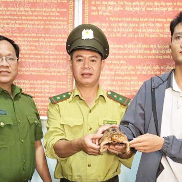 thay-rua-cuc-quy-o-gan-khu-tro,-nguoi-dan-nop-cho-cong-an