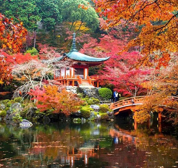 nhat-ban-du-kien-tang-phi-visa