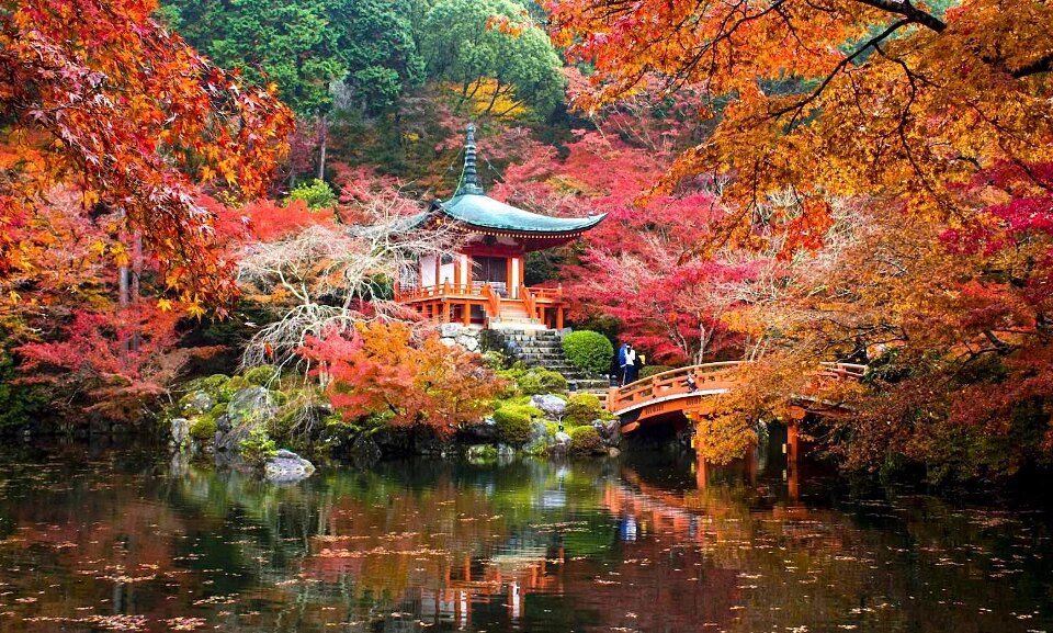 nhat-ban-du-kien-tang-phi-visa