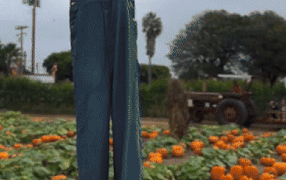 hoang-tu-harry-va-meghan-markle-dat-cac-con-den-vuon-bi-ngo-nhan-halloween