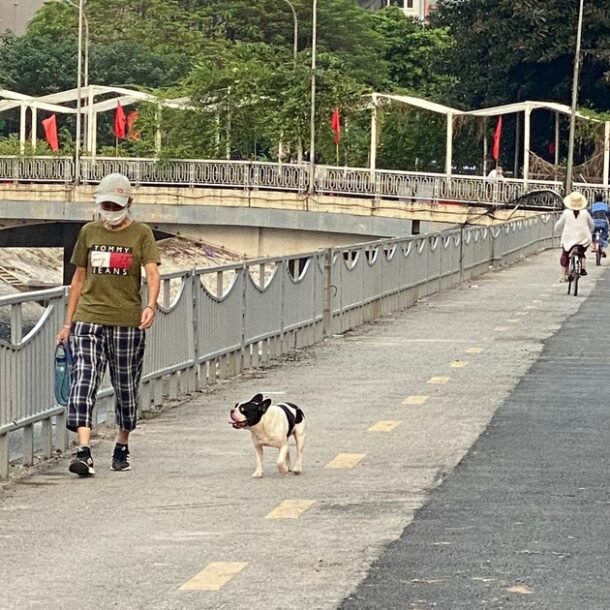 tuyen-duong-xe-dap-dau-tien-o-ha-noi:-vi-sao-vang-bong-nguoi?