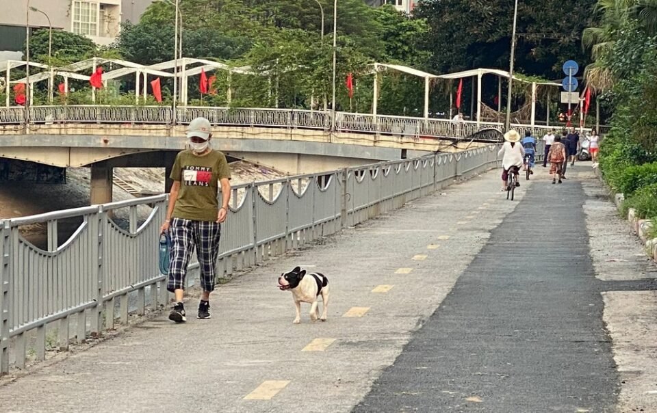 tuyen-duong-xe-dap-dau-tien-o-ha-noi:-vi-sao-vang-bong-nguoi?