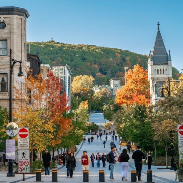 ‘bo-tu’-du-hoc-dan-mat-the-doc-ton