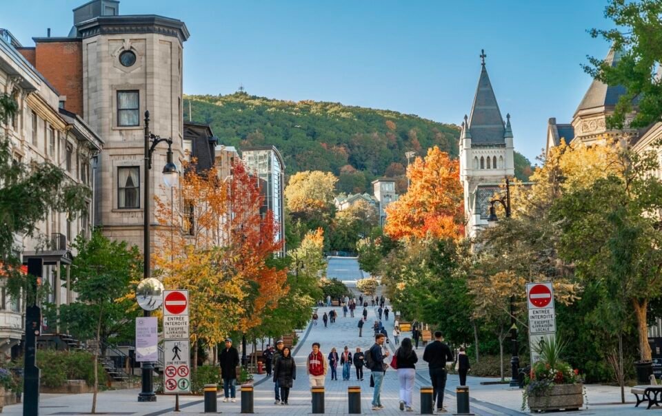 ‘bo-tu’-du-hoc-dan-mat-the-doc-ton