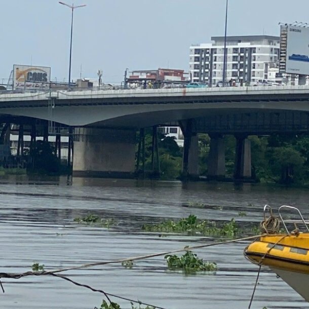 dung-o-to-giua-cau,-tai-xe-cong-nghe-co-hanh-dong-bat-thuong-roi-nhay-xuong-song